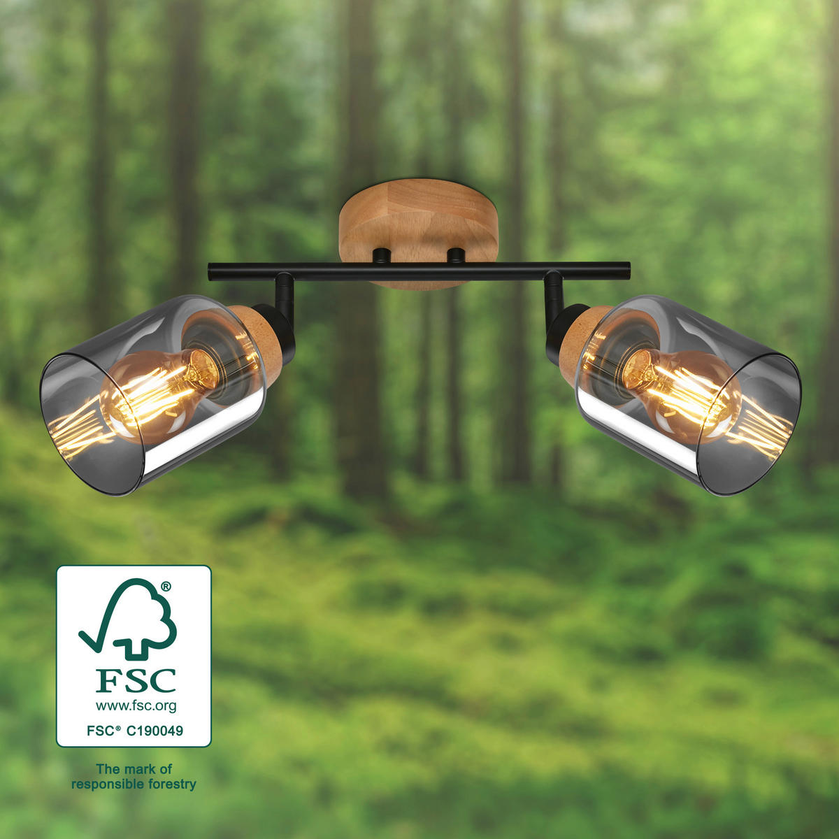 DECKENSPOTS 28/11/24 cm   - Eichefarben/Schwarz, Design, Glas/Holz (28/11/24cm)