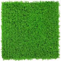 AKUSTIKPANEEL Modular Wall System Design Flora 52/52/2,8 cm  - Hellgrün, KONVENTIONELL, Kunststoff (52/52/2,8cm) - Jangal