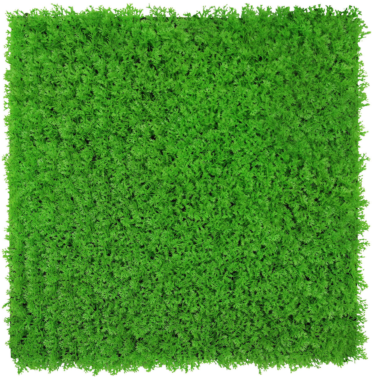 AKUSTIKPANEEL Modular Wall System Design Flora 52/52/2,8 cm  - Hellgrün, KONVENTIONELL, Kunststoff (52/52/2,8cm) - Jangal