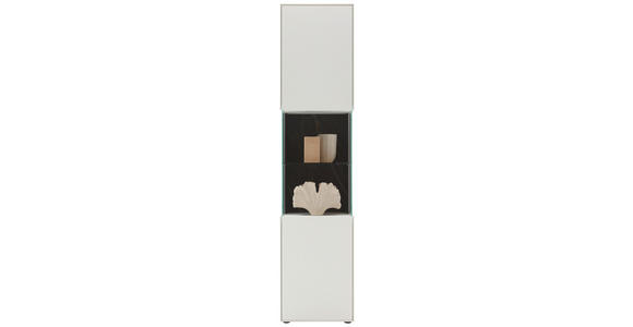 VITRINE Weiß 46,9/205,5/37,1 cm - Schwarz/Weiß, Design, Glas/Keramik (46,9/205,5/37,1cm) - Dieter Knoll