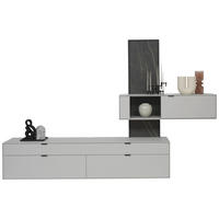 WOHNWAND  in Hellgrau  306/204,9/45,2 cm  - Hellgrau, Design, Glas/Keramik (306/204,9/45,2cm) - Dieter Knoll