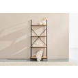 REGAL Naturfarben, Schwarz  - Schwarz/Naturfarben, Basics, Holzwerkstoff/Metall (60,5/148,5/34cm) - Xora
