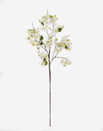 MŰNÖVÉNY - fehér/zöld, Basics, műanyag