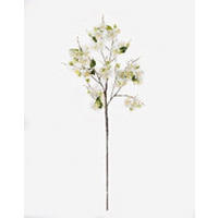 MŰNÖVÉNY - fehér/zöld, Basics, műanyag