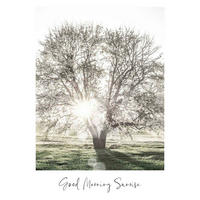 POSTER 50/70 cm  - Multicolor, Natur, Papier (50/70cm) - Reinders!