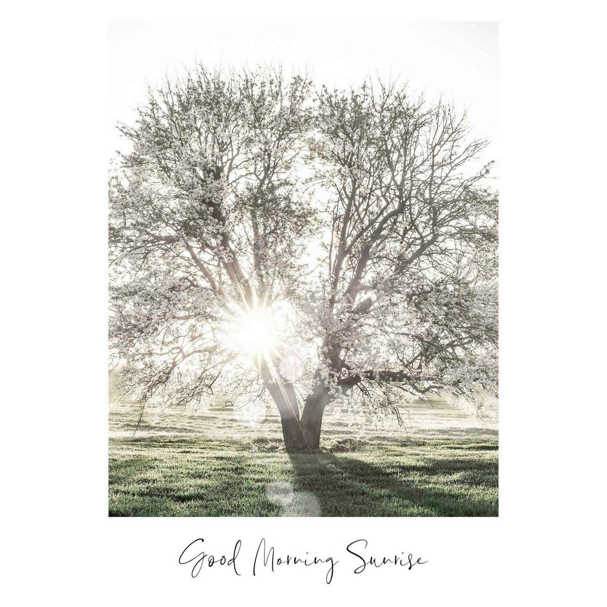 POSTER 50/70 cm  - Multicolor, Natur, Papier (50/70cm) - Reinders!