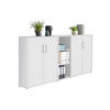 AKTENSCHRANK Weiß  - Weiß, MODERN, Holzwerkstoff (213/114/33cm) - MID.YOU