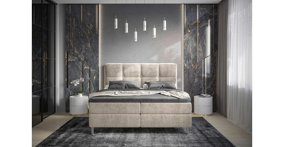 BOXBETT 180/200 cm  in Taupe  - Taupe/Chromfarben, Design, Holz/Holzwerkstoff (180/200cm) - Esposa