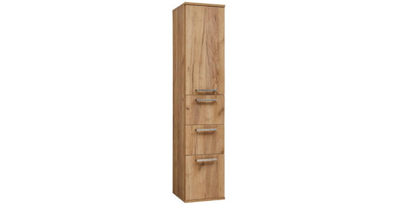 HOCHSCHRANK 35/165/37 cm - Edelstahlfarben/Alteiche, Design, Glas/Holz (35/165/37cm) - Dieter Knoll