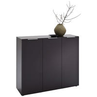 SCHUHSCHRANK  in 120/101/39 cm  - Edelstahlfarben/Anthrazit, Design, Holzwerkstoff/Kunststoff (120/101/39cm) - Carryhome