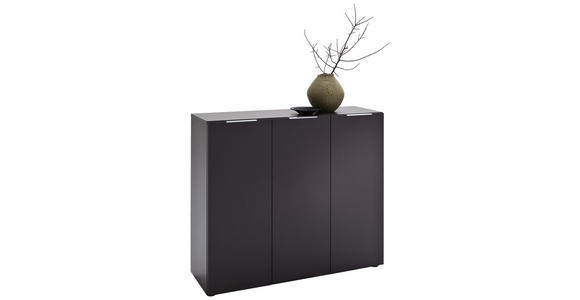 SCHUHSCHRANK 120/101/39 cm - Edelstahlfarben/Anthrazit, Design, Holzwerkstoff/Kunststoff (120/101/39cm) - Carryhome