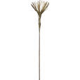 KUNSTBLUME - Braun/Grau, Basics, Kunststoff/Metall (108cm) - Ambia Home