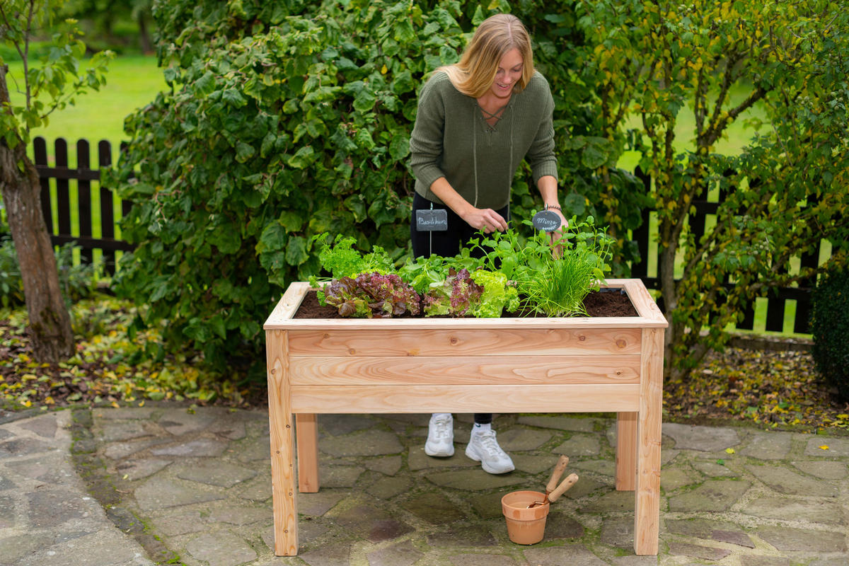 HOCHBEET  - Lärchefarben, Basics, Holz (120/75/65cm) - Ambia Garden
