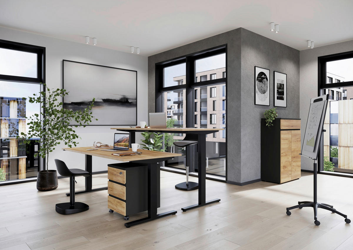 AKTENSCHRANK  - Eichefarben/Graphitfarben, MODERN, Holzwerkstoff (80/120/40cm) - Germania