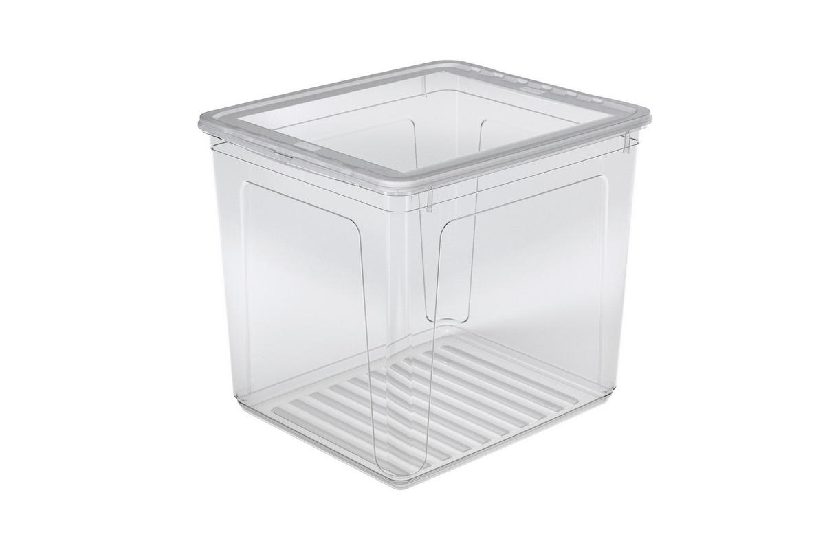 Škatla s pokrovom bea   39/33,5/35 cm     - prosojno, Basics, umetna masa (39/33,5/35cm)