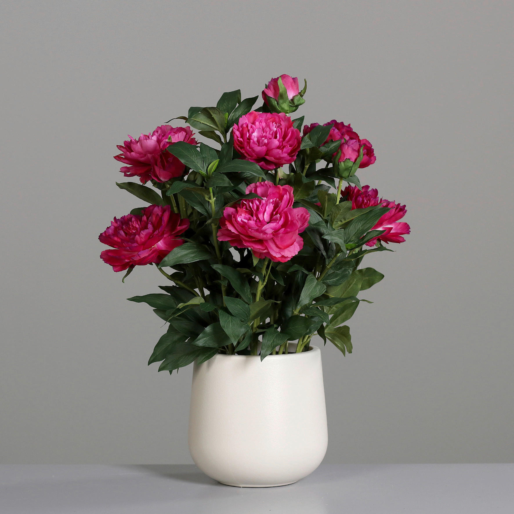 PFINGSTROSE - Pink/Creme, Basics, Kunststoff/Textil (66cm)