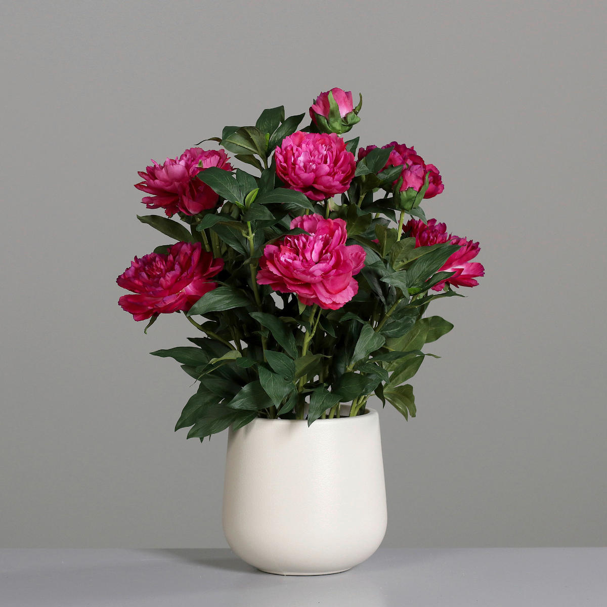 PFINGSTROSE - Pink/Creme, Basics, Kunststoff/Textil (66cm)