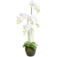 ORCHIDEE - Weiss/Grün, Basics, Kunststoff (100cm)