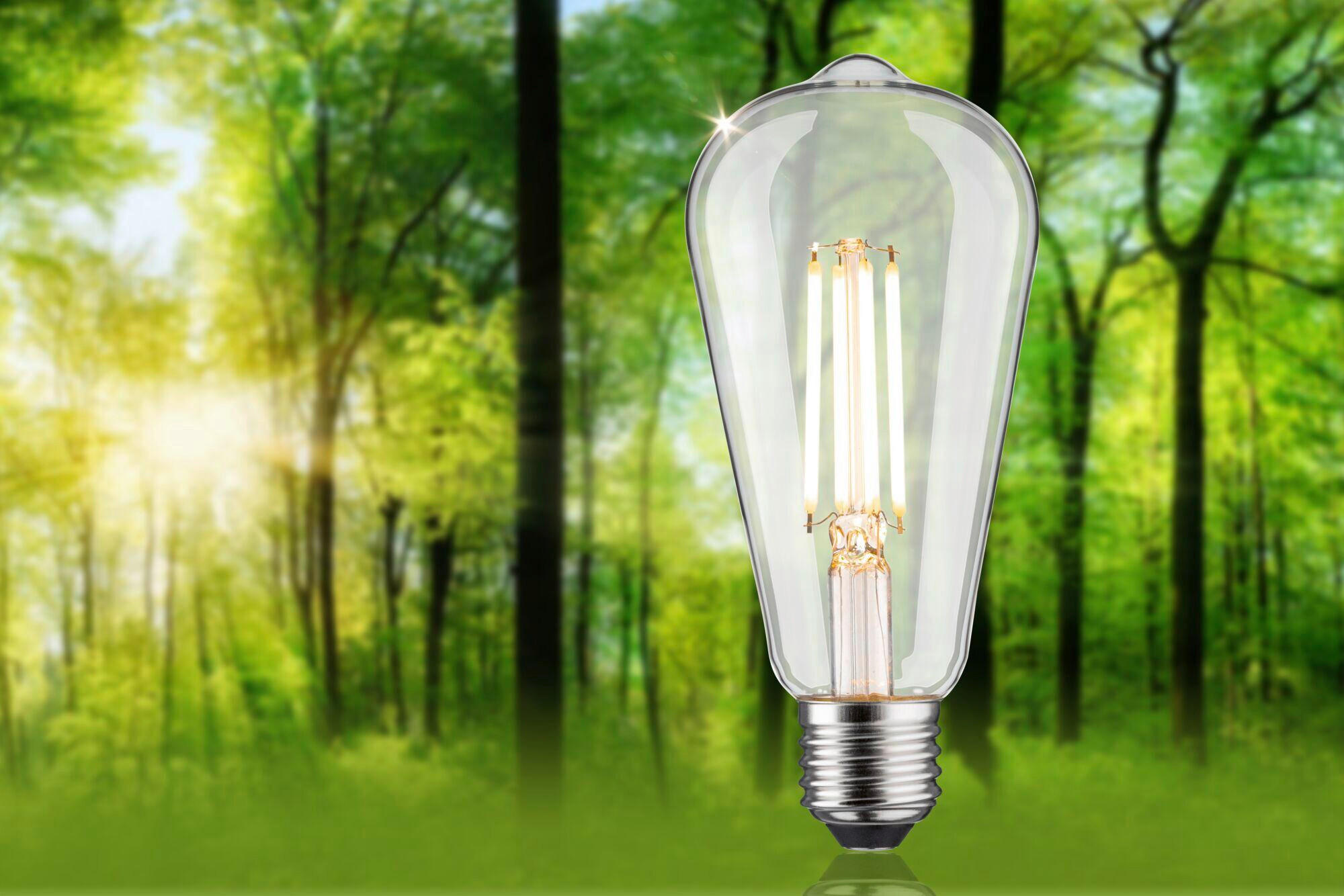 ENERGIESPAR-LEUCHTMITTEL - Klar, Basics, Glas (6,4/14,3cm) - Paulmann