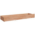 BETTSCHUBKASTEN Kernbuche  - Kernbuche, Natur, Holz/Holzwerkstoff (197/22,5/60cm) - Linea Natura