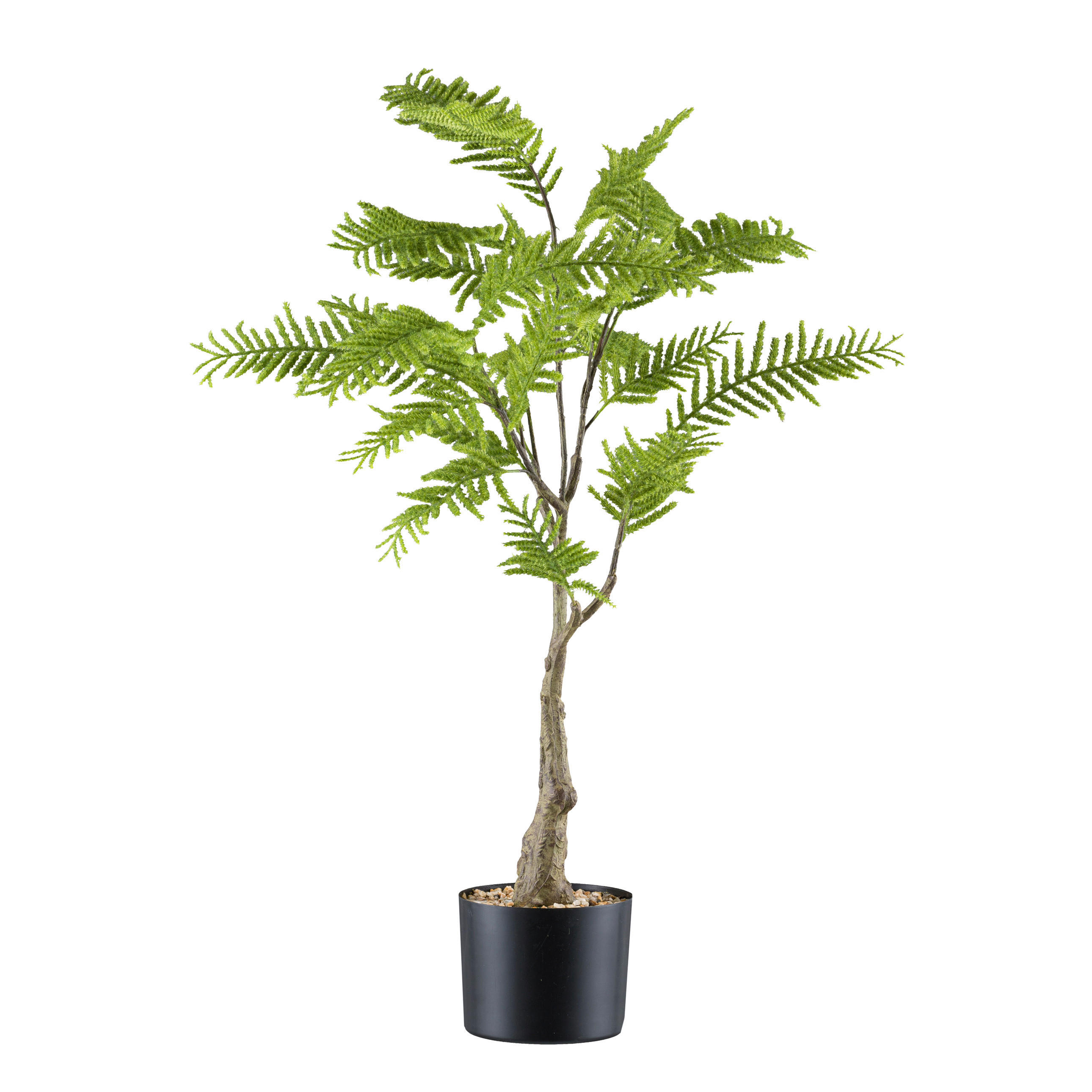 KUNSTPFLANZE Farn 90 cm  - Schwarz/Braun, Design, Kunststoff (90cm) - P & B
