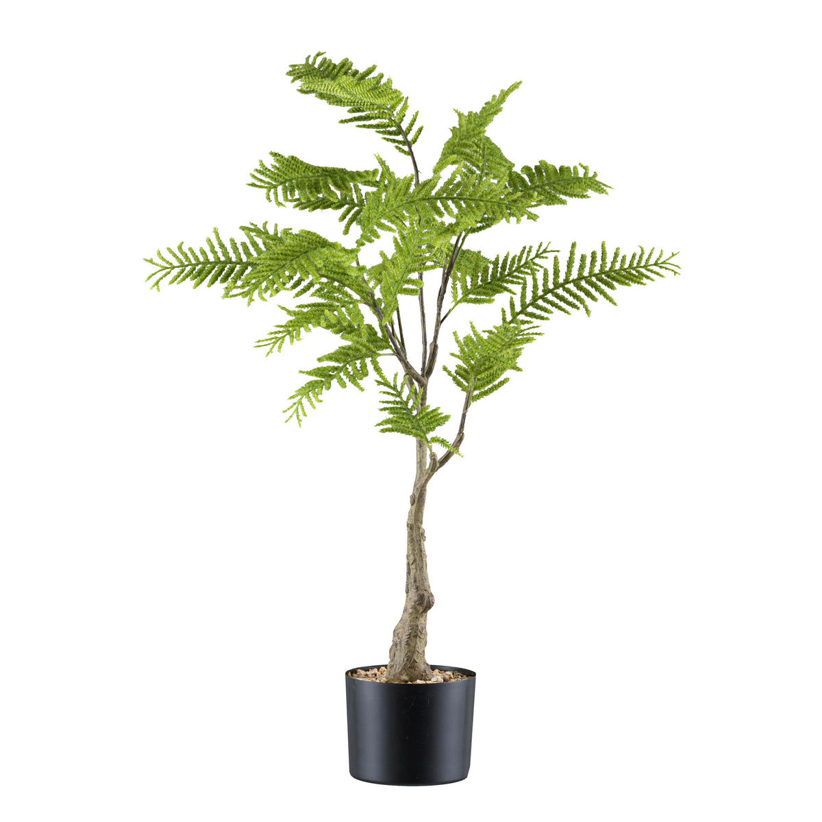 KUNSTPFLANZE Farn 90 cm  - Schwarz/Braun, Design, Kunststoff (90cm) - P & B
