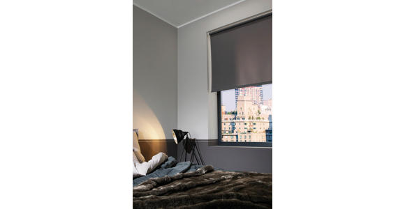 ROLLO 60/160 cm - Grau, Design, Textil (60/160cm) - Boxxx