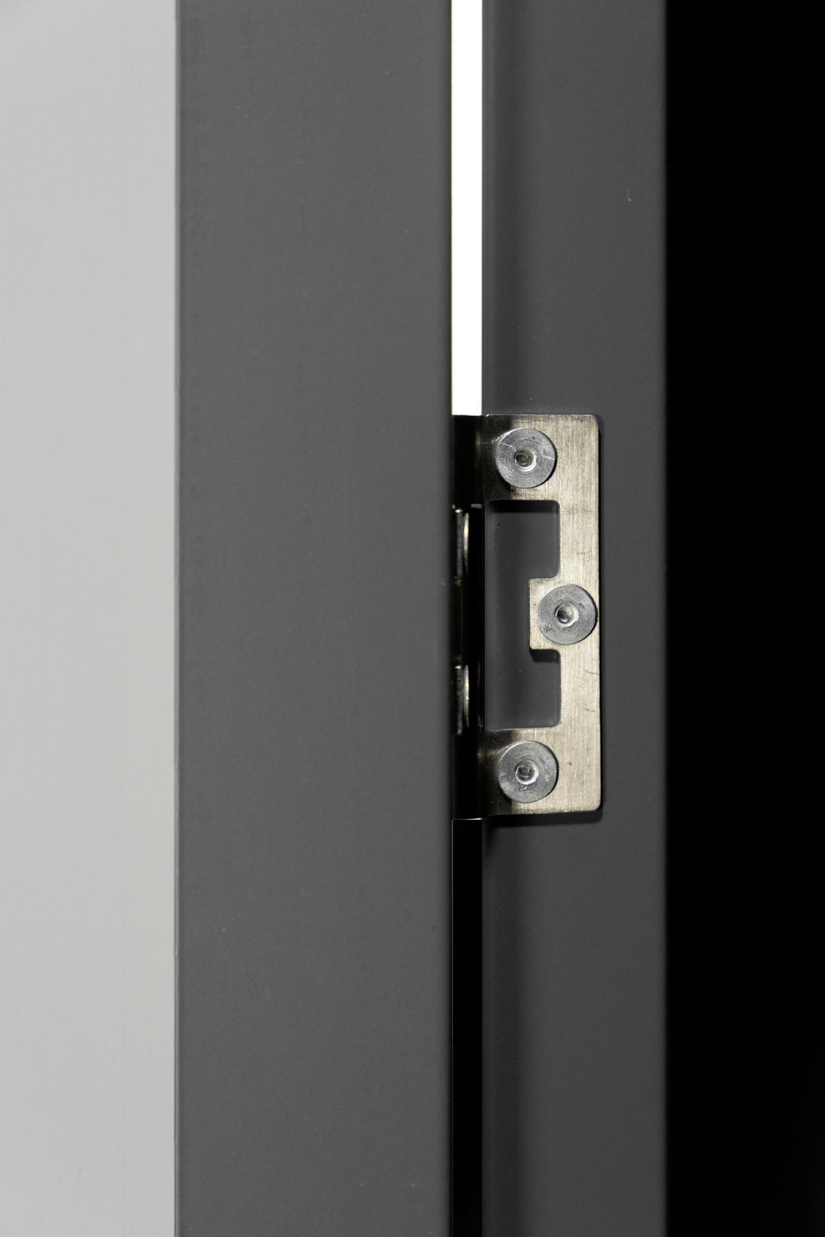 SCHWINGTÜR-KIT FÜR GEWÄCHSHAU - Anthrazit, Basics, Metall (67/172cm)