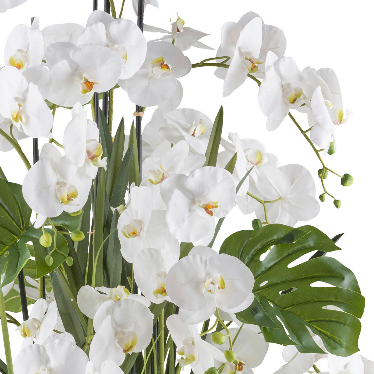 KUNSTPFLANZE Orchidee 140 cm  - Creme/Weiß, Design, Kunststoff (140cm) - P & B