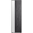 GARDEROBENSCHRANK 60/196/39 cm  - Anthrazit/Schwarz, Design, Glas/Holz (60/196/39cm) - Johann Jakob