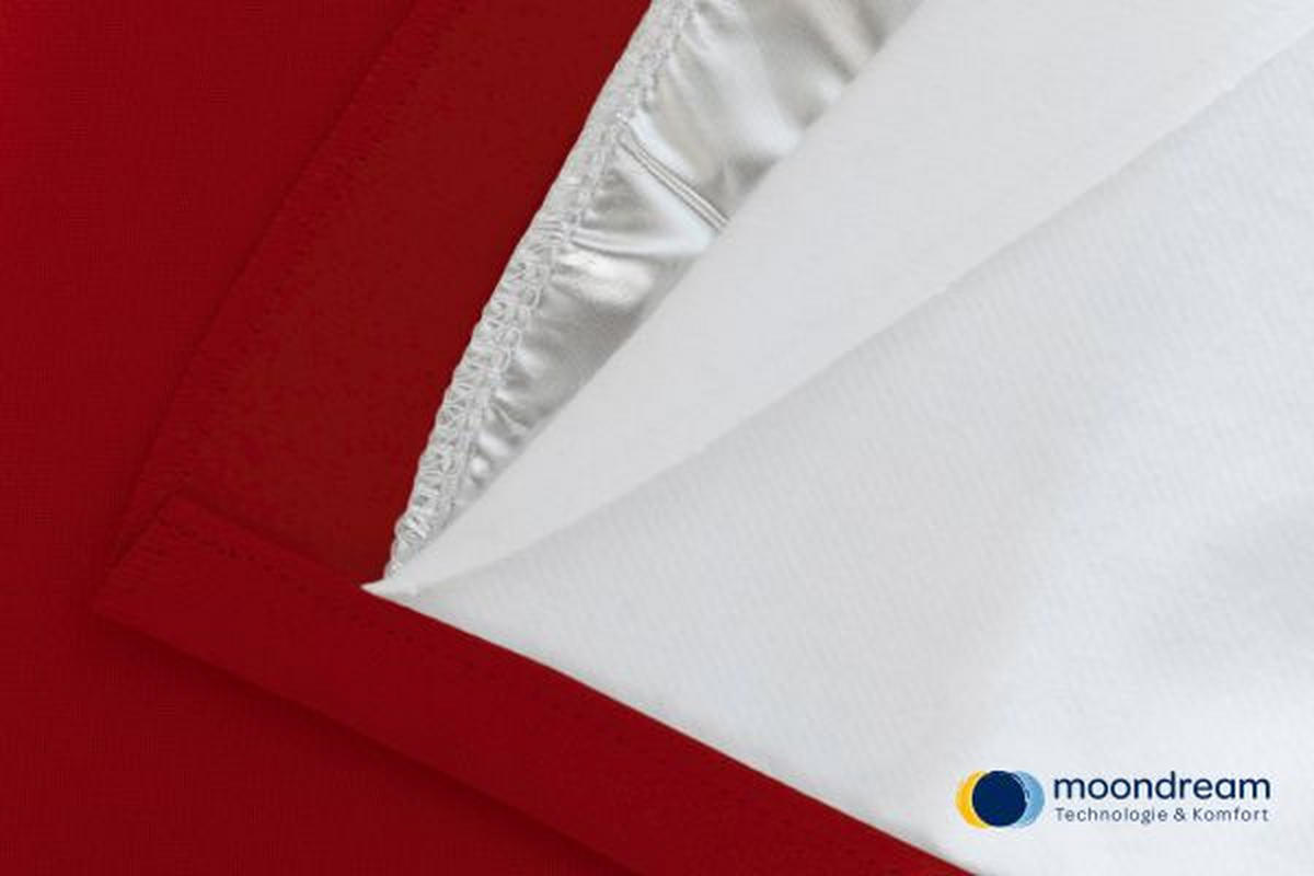 LÄRMSCHUTZVORHANG Verdunkelung  - Rot, Design, Textil (145/260cm)