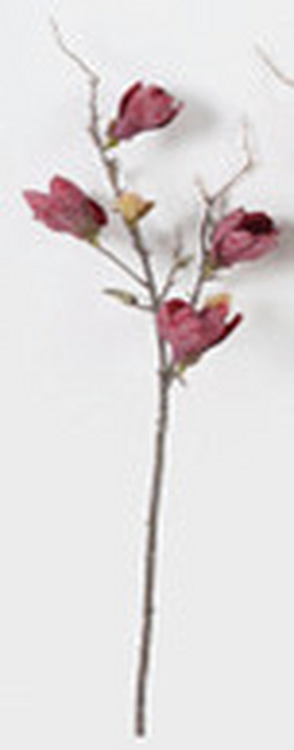 MŰNÖVÉNY - magenta/zöld, Basics, műanyag