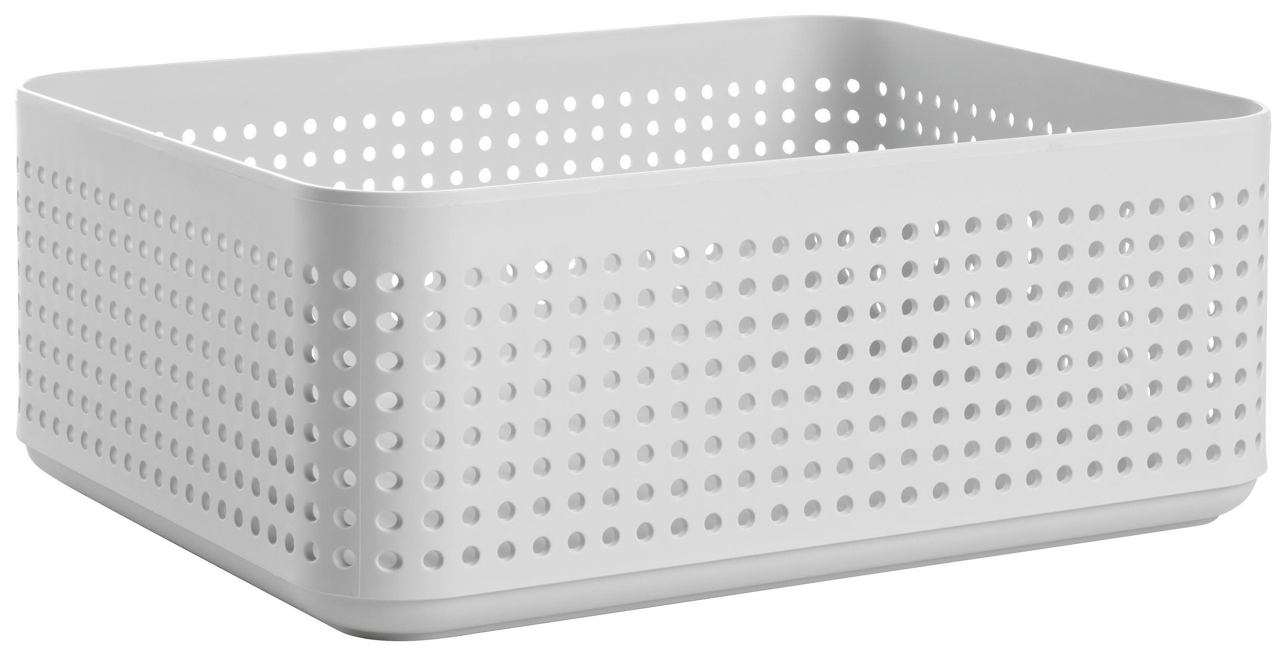 ORGANIZER  - Weiss, Basics, Kunststoff (20,6/10/25,8cm) - Rotho