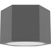 STROPNÍ BODOVÉ SVÍTIDLO, 12/8 cm  - šedá, Basics, dřevo (12/8cm)