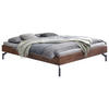 BETT 100/200 cm  in Anthrazit, Nussbaumfarben  - Anthrazit/Nussbaumfarben, Design, Holz/Metall (100/200cm) - Hasena
