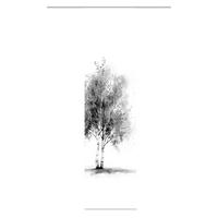 FLÄCHENVORHANG   blickdicht  60/245 cm   - Grau Hochglanz/Weiß, Natur, Textil (60/245cm)