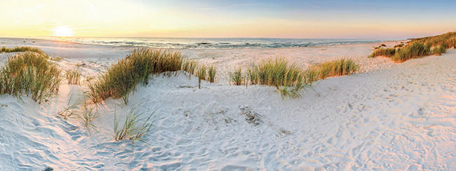 LEINWANDBILD Strand & Meer  - Multicolor, Natur, Holz/Papier (30/80/3cm) - Euroart