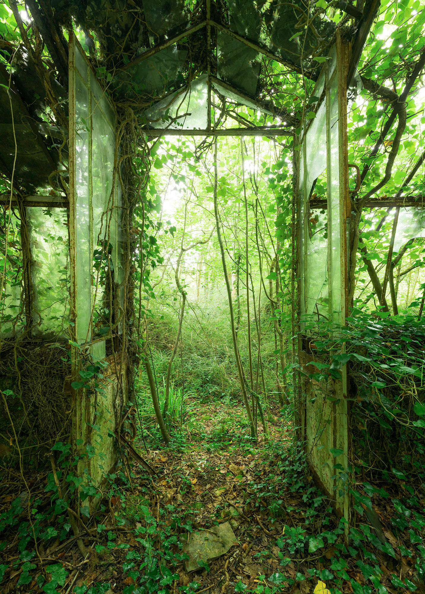 Xora Fototapete Grün 200x280 cm