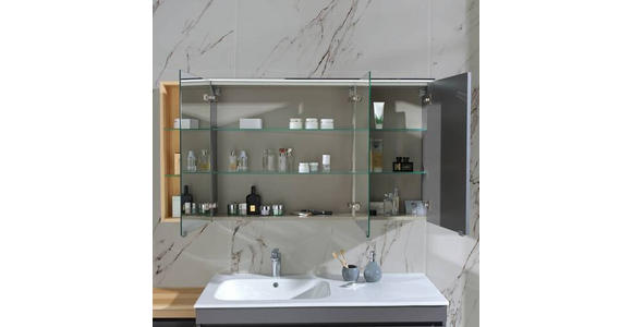 BADEZIMMER in 207 cm - Graubraun/Eschefarben, MODERN, Glas/Holz (207cm) - Novel