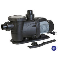 FILTERPUMPE 2024  - Schwarz, KONVENTIONELL, Metall (55,3/22/27,8cm) - Gre