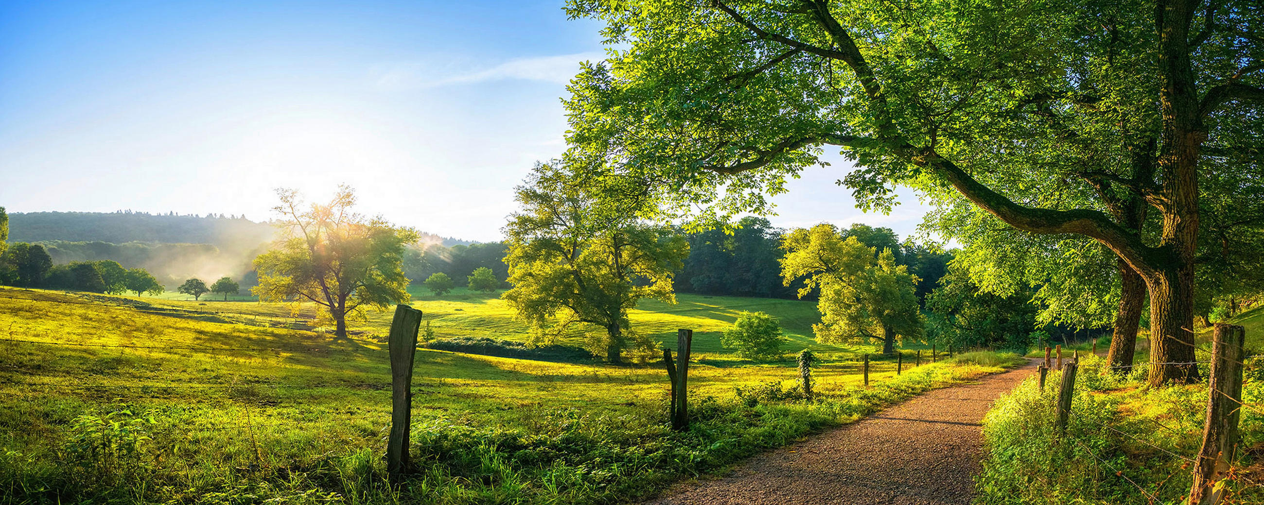 GLASBILD Landschaft & Natur  - Multicolor, Natur, Glas (50/125/1,40cm) - Euroart