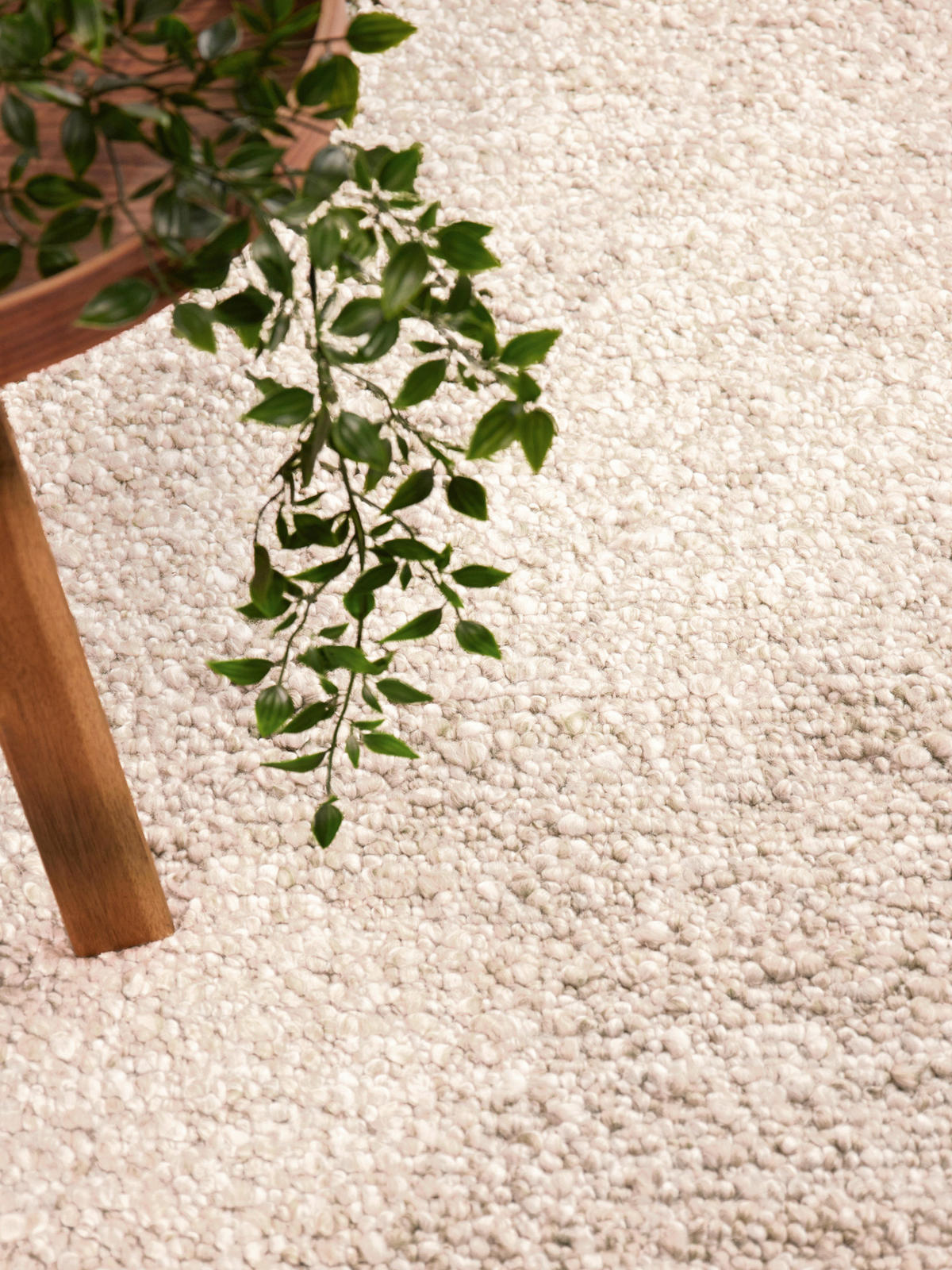 WEBTEPPICH 120/170 cm Notting Hill Creme, Beige  - Beige/Creme, Basics, Textil (120/170cm) - Ted Baker