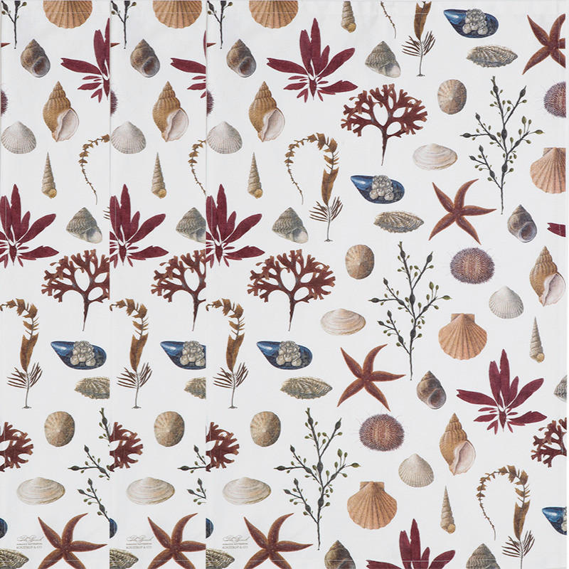 GESCHIRRTUCH-SET  - Basics (50/70cm)