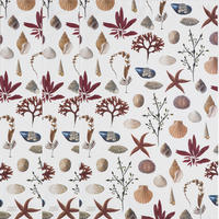 GESCHIRRTUCH-SET  - Basics (50/70cm)