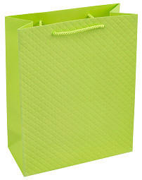 GESCHENKTASCHE  - Hellgrün, Basics, Papier (18/23/10cm)
