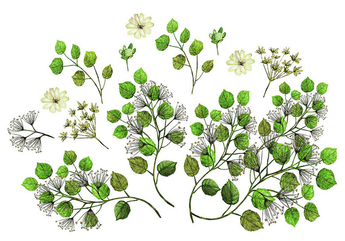 SAMOLEPKA NA ZEĎ - vícebarevná, Basics, plast (50/70cm) - Euroart