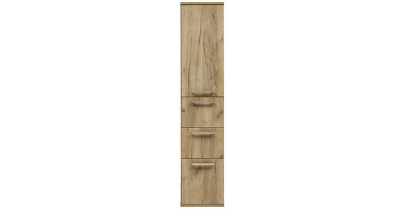 HOCHSCHRANK 35/165/37 cm  - Edelstahlfarben/Alteiche, Design, Glas/Holz (35/165/37cm) - Dieter Knoll