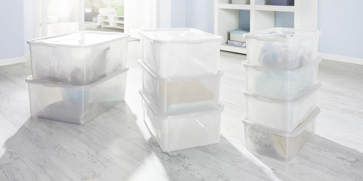 BOX MIT DECKEL ARCO  - Transparent, Basics, Kunststoff (42/35/17cm) - Rotho