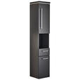 HOCHSCHRANK 30/164/30 cm  - Chromfarben/Grau, KONVENTIONELL, Glas/Holzwerkstoff (30/164/30cm) - Novel