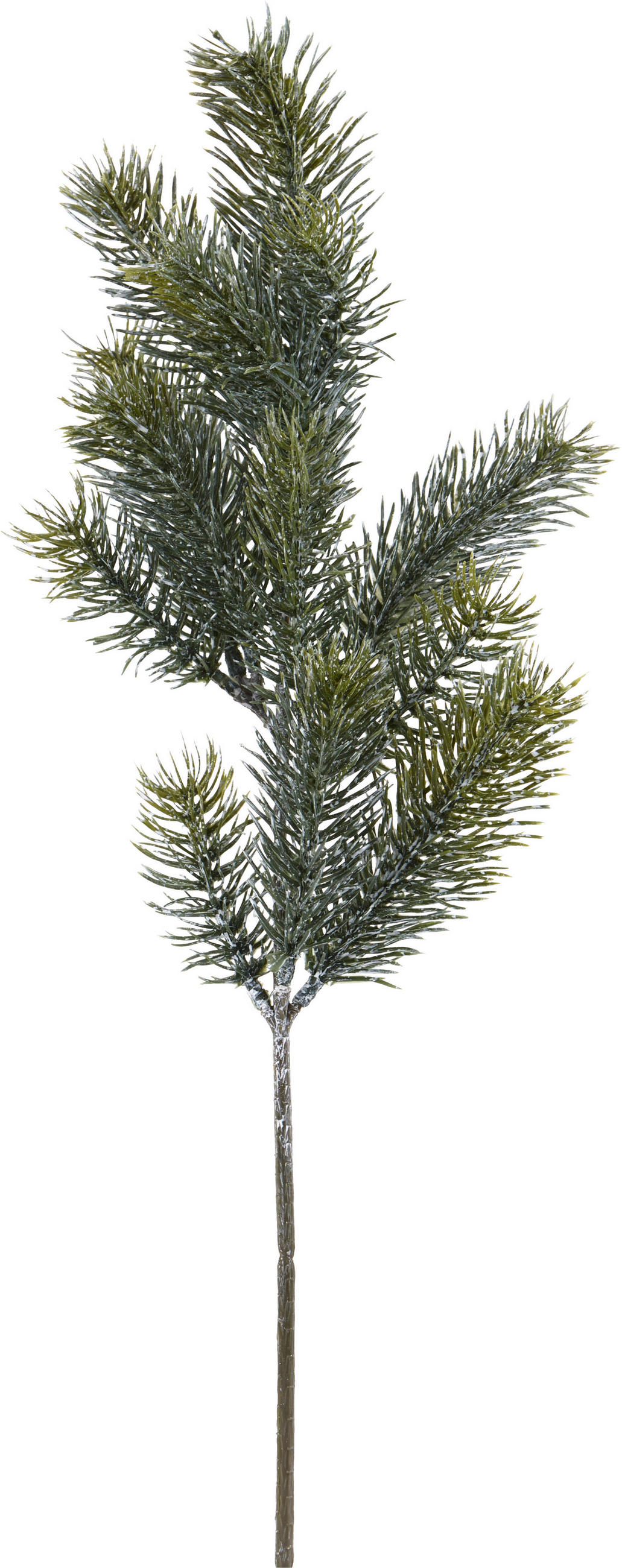 Dekozweig Blautanne Braun/grün L: 50 Cm